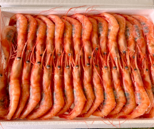 甘エビ（冷凍）700g×10枚10入約7kg