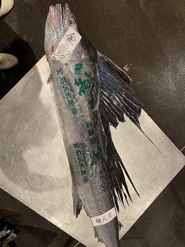 バショウカジキ1入約30kg(底曳)