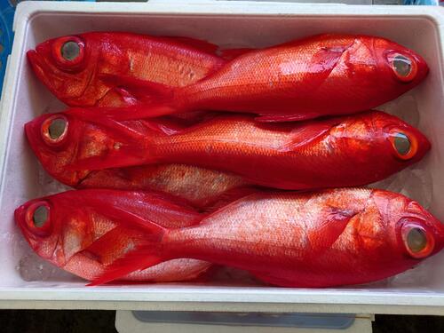 キンメダイ約4kg(釣)