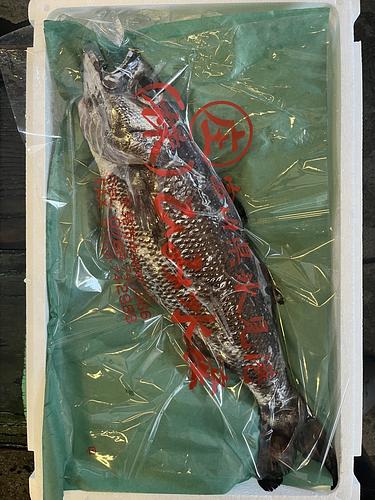 クロムツ1入約1.6kg