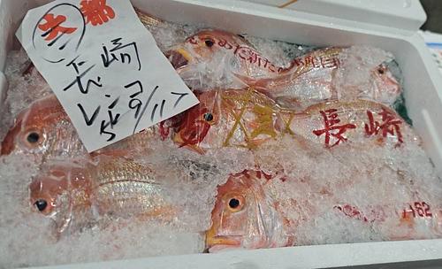 レンコダイ12-14入約5kg(底曳)