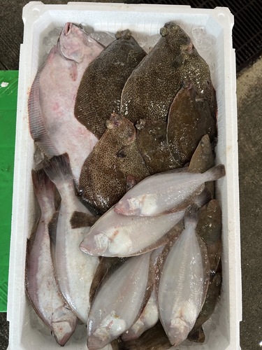 鮮魚BOX約4.1kg(底曳)