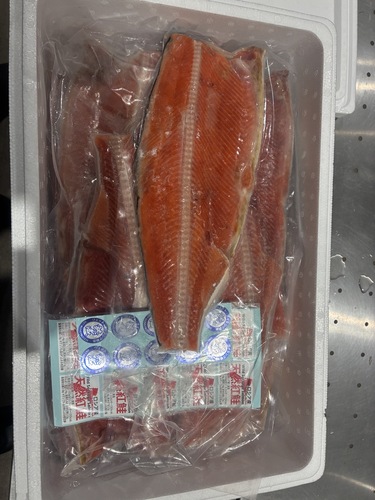 紅鮭約8kg