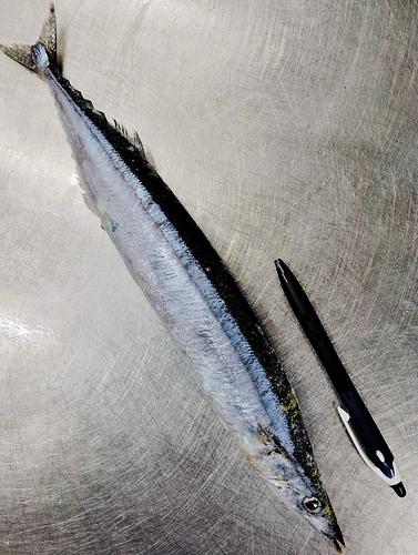 サンマ28入約5kg(棒受け)