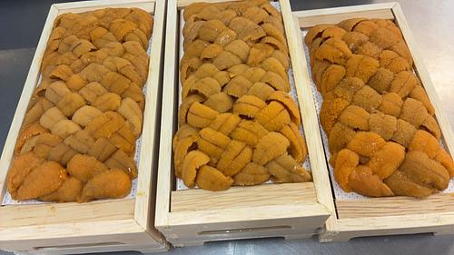 バフンウニ（板）10入約1kg