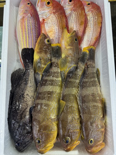 鮮魚BOX約5.1kg(釣)