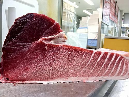 本マグロ(定置)