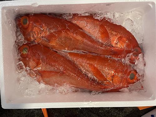 キンメダイ4入約5kg