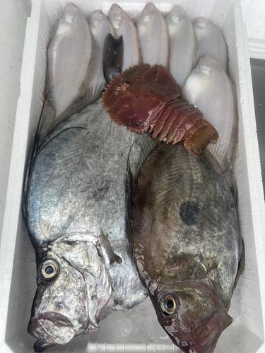 鮮魚BOX約3.2kg(底曳)
