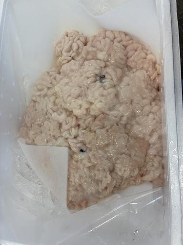 タラ白子約3kg