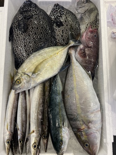 鮮魚BOX約4.5kg(定置)