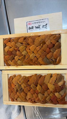 バフンウニ（板）30入約3kg