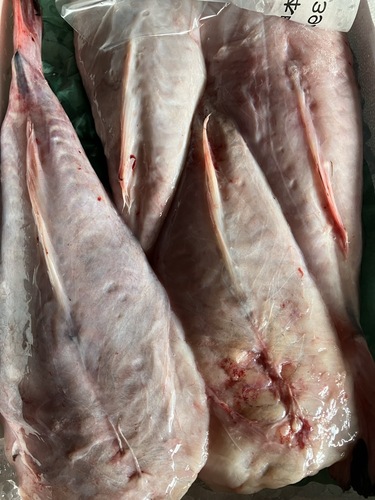 アンコウ（ムキ身）中サイズ約6kg(沿岸)