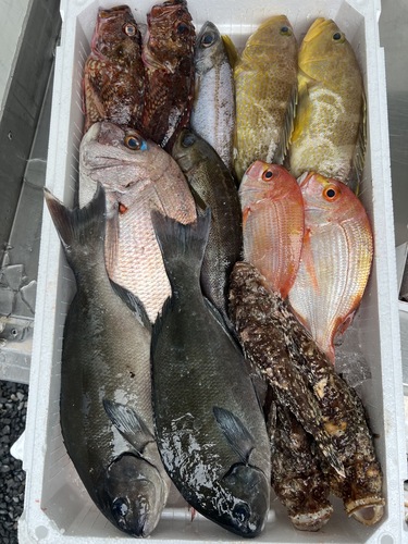 鮮魚BOX約4.7kg(釣)