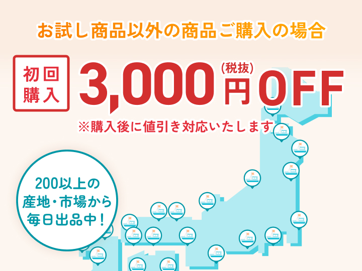 お試し商品以外の商品ご購入の場合、初回購入3,000円 (税抜) OFF