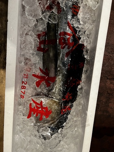 キハダマグロ（抜き）(釣)