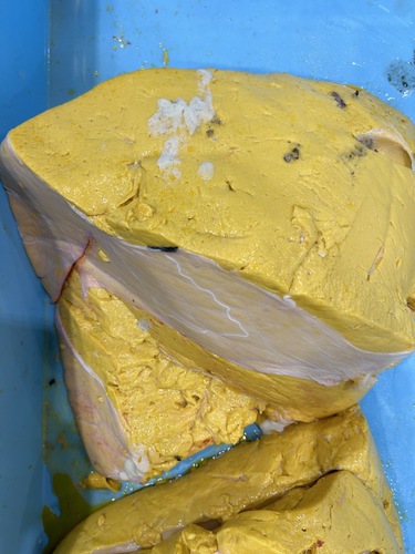 マンボウ約6kg(沿岸)