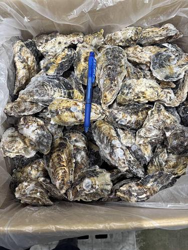 牡蠣（冷凍）100-120入　60-100g/粒120入約10kg