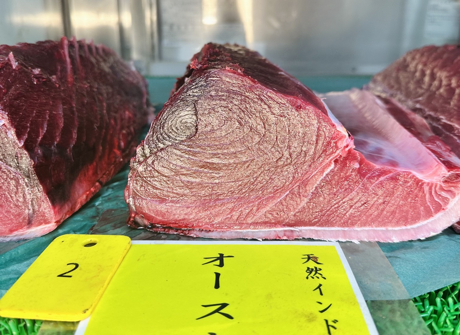 ミナミマグロ(延縄)【業務用の鮮魚仕入れならウーオ】