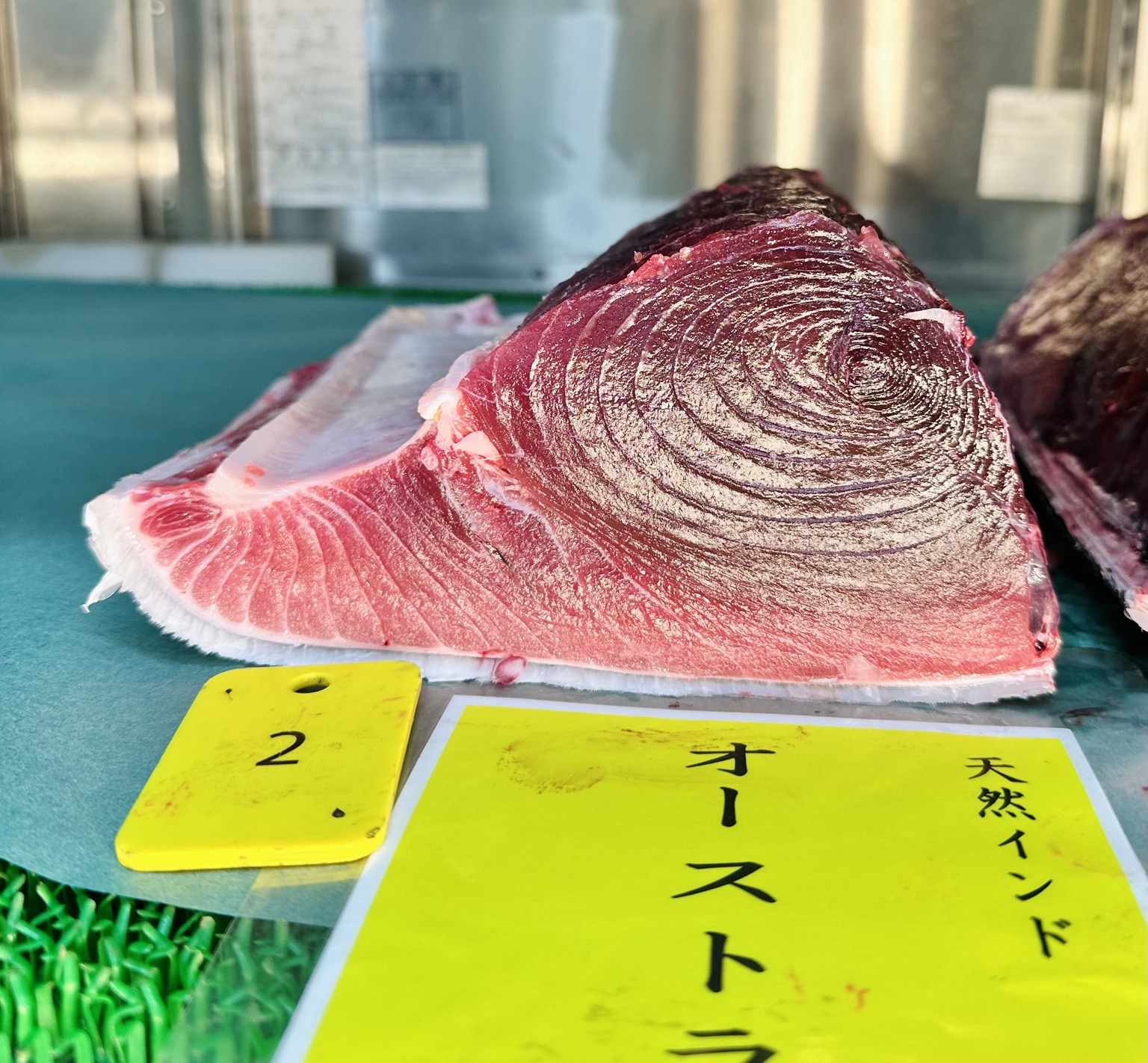 ミナミマグロ(延縄)【業務用の鮮魚仕入れならウーオ】