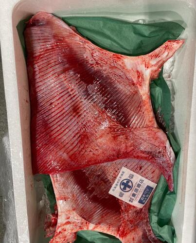 カスベ2入約4kg