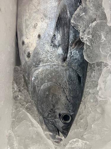 スマ2入約5.8kg