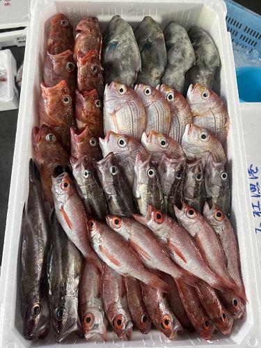 鮮魚BOX約4.8kg(底曳)