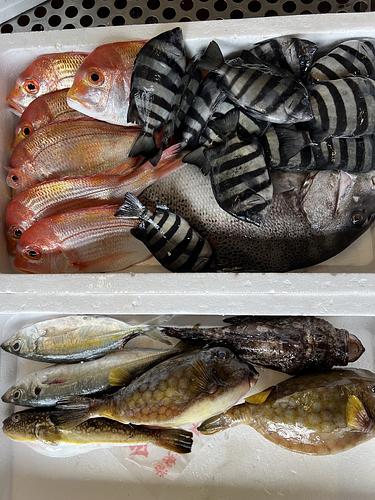 鮮魚BOX約7.1kg(定置)