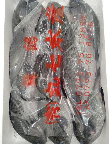 メジナ8/10入約5kg(定置)