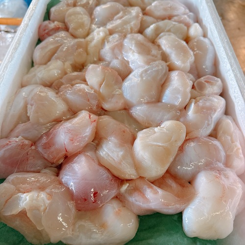 カスベ約5kg