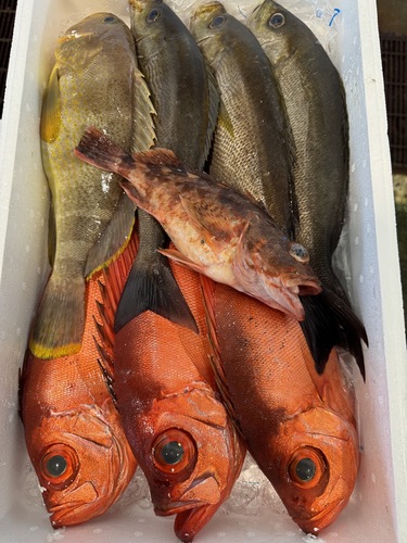 活〆鮮魚BOX約4.2kg(釣)