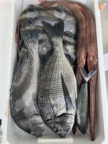 鮮魚BOX約5.5kg(定置)