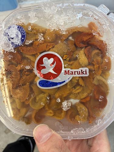 バフンウニ（塩水）10入約1kg