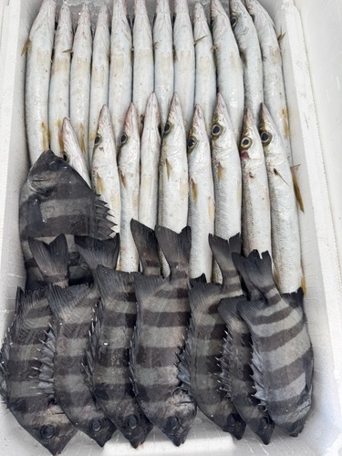 鮮魚BOX約4.8kg(定置)