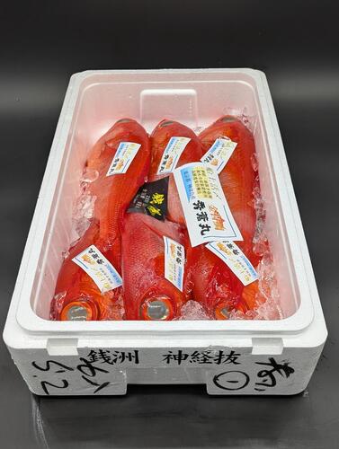 活〆キンメダイ3入約5kg(釣)