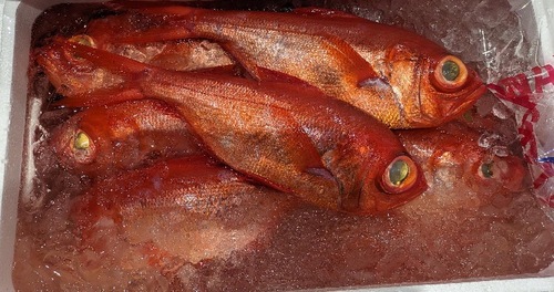 キンメダイ4k台4入約4kg(釣)