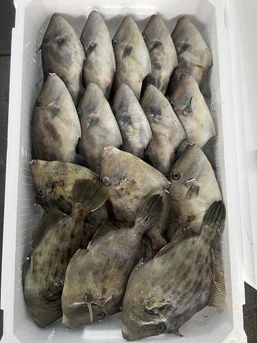 鮮魚BOX約3.2kg(定置)
