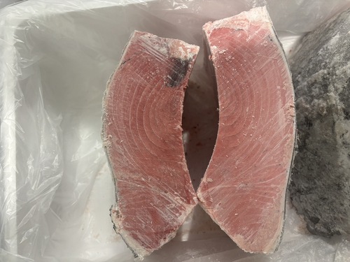 本マグロ約8kg(沿岸)