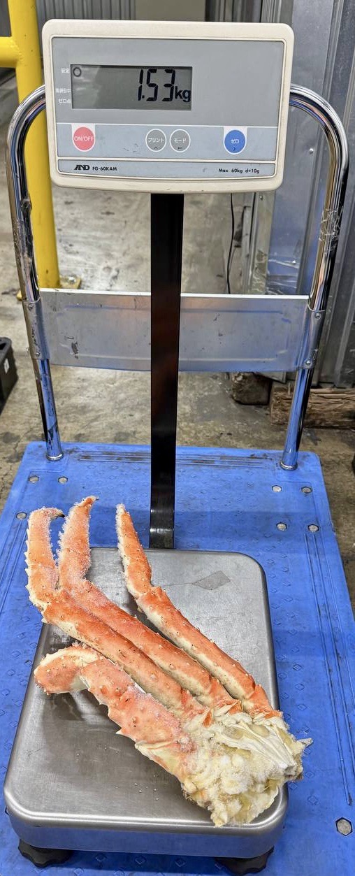 タラバガニボイルタラバ5L6入約9.1kg(カゴ)【業務用の鮮魚仕入れならウーオ】