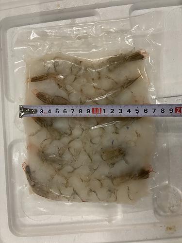のばしエビ約6kg