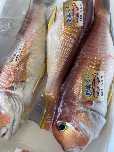 神経〆若狭ぐじ(釣)
