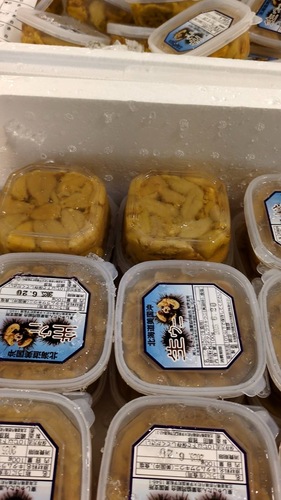 キタムラサキウニ（塩水）