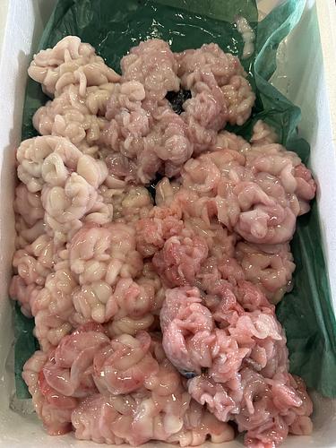 タラ白子約2kg