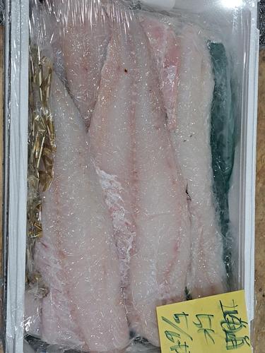 マダラフィレ5/7枚入約5kg(底曳)
