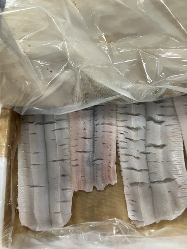 骨切りハモ約2kg