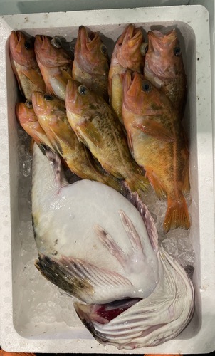鮮魚BOX約5kg(刺網)