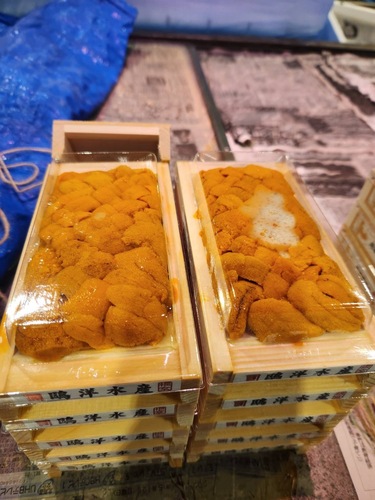 バフンウニ（板）30入約3kg