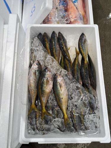 タカベ30入約5kg