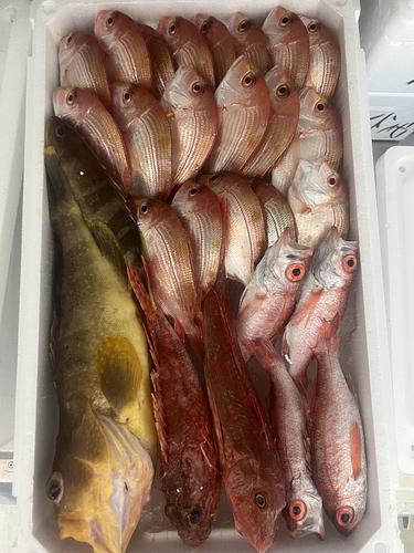 鮮魚BOX約4.2kg(底曳)