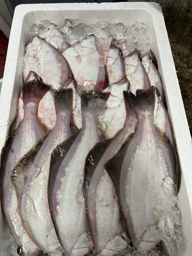 エテガレイ24入約4.5kg(底曳)